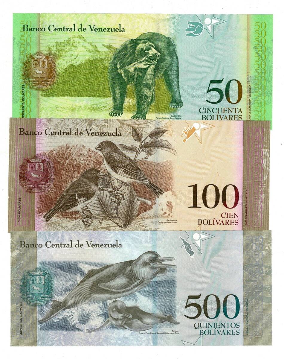 Venezuela 50/100/500 Bolivares Kağıt Para Seti ÇİL YKP8317 - 2