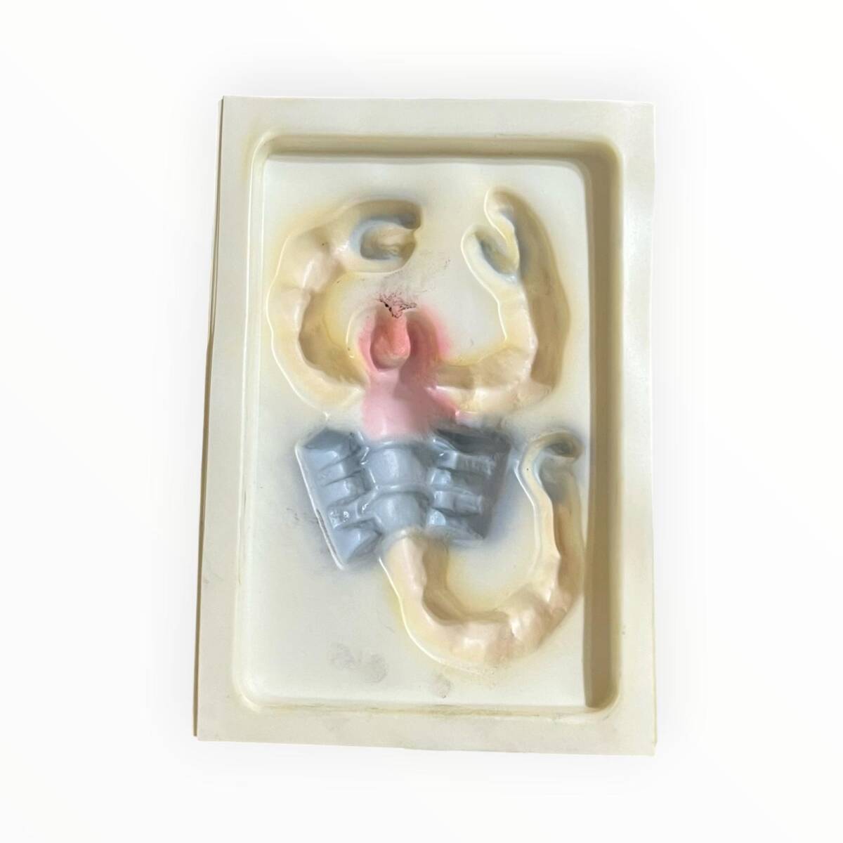 Vintage 1980-1990's ''Akrep'' Alçı Kalıbı 17x12.5cm AOB8751 - 2
