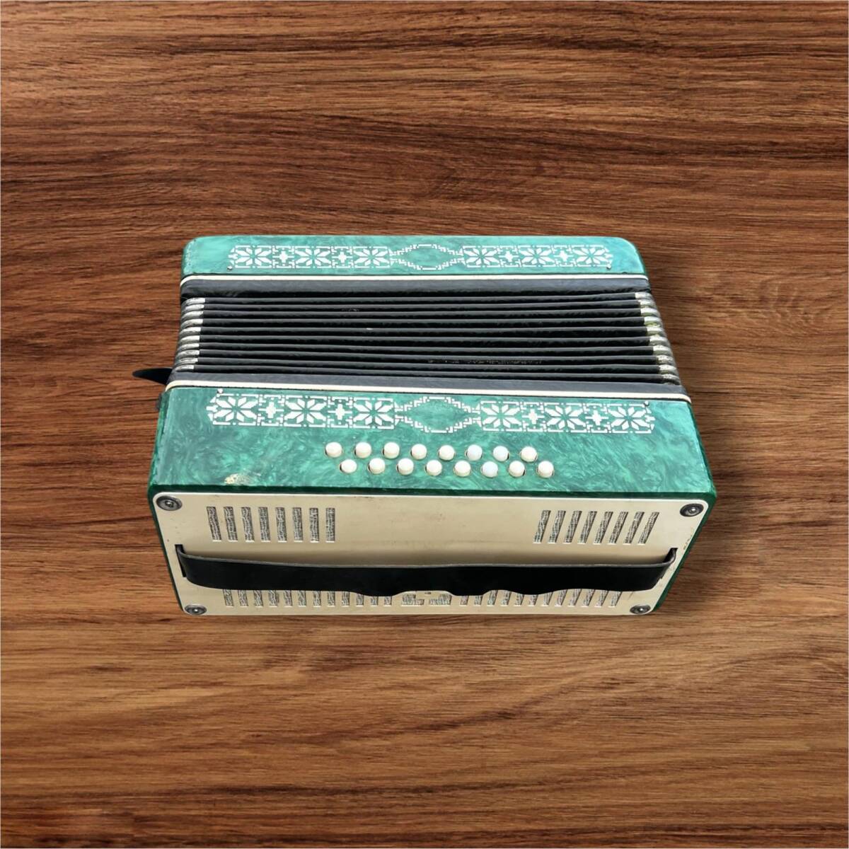 Vintage RAZNO USSR Akardiyon AOB8532 - 5