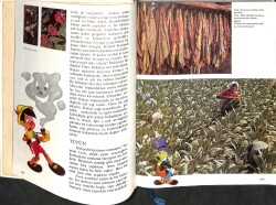 Walt Disney Ansiklopedisi Cilt : 6 - Bilgi Dünyasına Yolculuk - Buluşlar , Ulaşım Araçları NDR100066 - 2