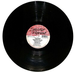 Whitebird Presents Veronica Brown (1997-USA) – Words That You Say LP (108) PLK17187 - 1