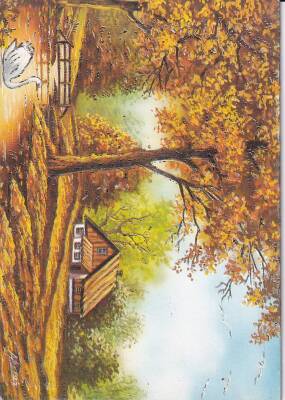 Yaldızlı Doğa Temalı Kartpostal KRT13500 - 1