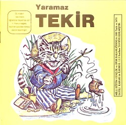 Yaramaz Tekir NDR101130 - Gökçekoleksiyon