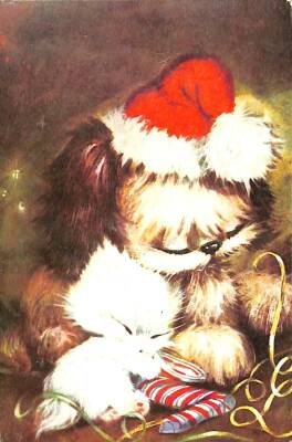 Yavru Kedi Ve Köpek Temalı Kartpostal KRT17120 - 1