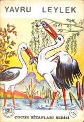 Yavru Leylek NDR101244 - Gökçekoleksiyon