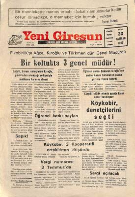 Yeni Giresun Gazetesi 30 Haziran 1995 - Köykobir , Denetçilerini Seçti GZ79316 - 1