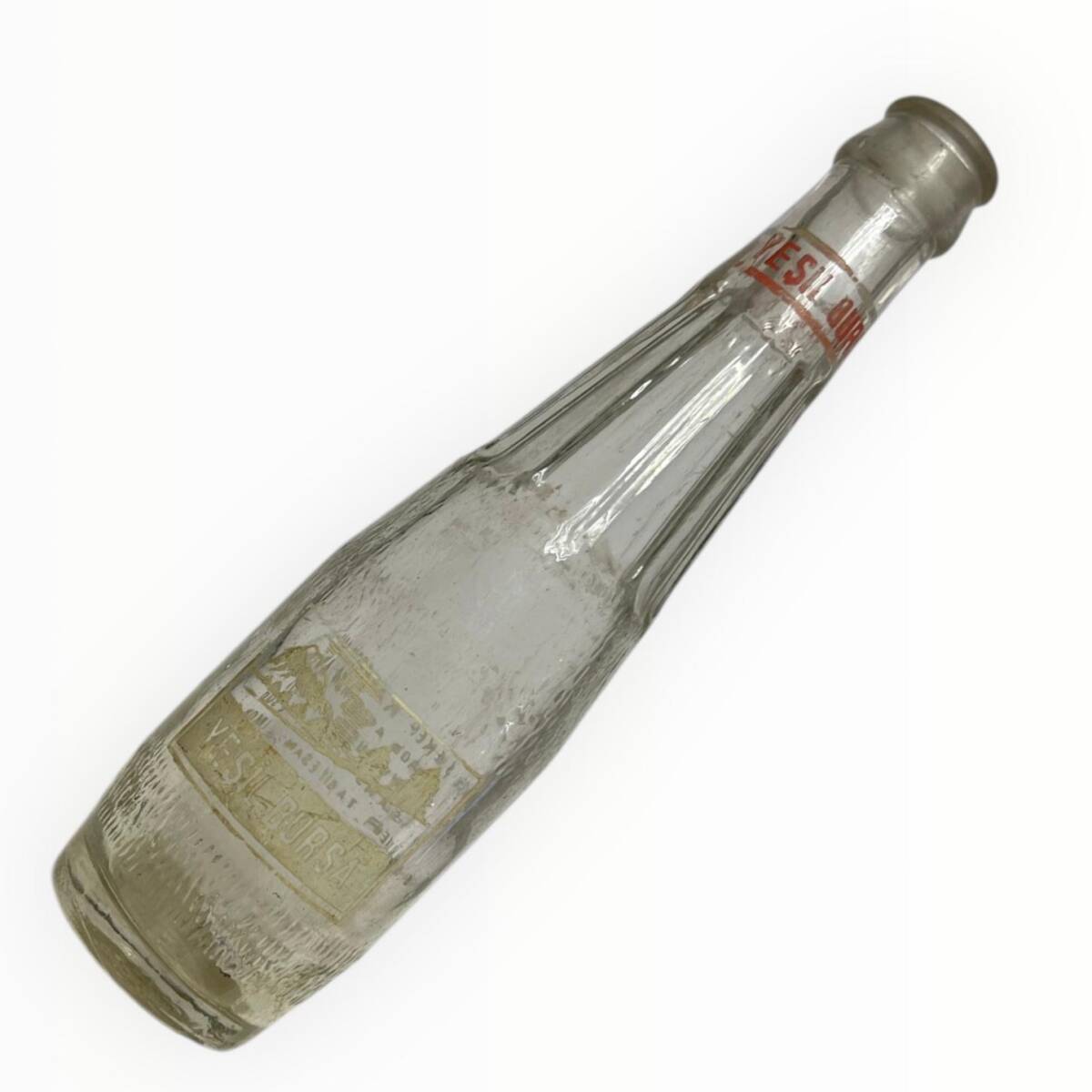 YEŞİL BURSA Meyve Suyu Su Şişesi 20cl #CMK1307 - 1