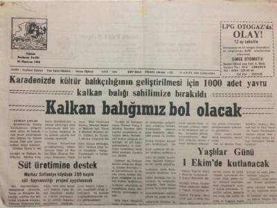 Yeşil Giresun Gazetesi 27 Eylül 2000 - Kalkan Balığımız Bol Olacak GZ38269 - 1