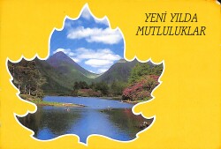 Yılbaşı Kutlama Tebrik Kartı KRT19156 - 1