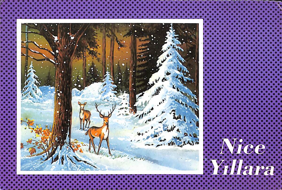 Yılbaşı Temalı Kartpostal KRT20975 - 1