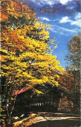 Yılbaşı Yeni Yıl Tebrik Kartı KRT18113 - Gökçekoleksiyon