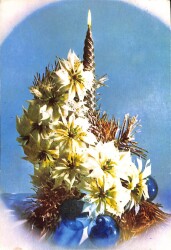 Yılbaşı (Yeniyıl) Temalı Kartpostal KRT12073 - Gökçekoleksiyon