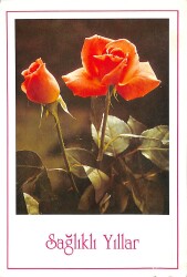 Yılbaşı (Yeniyıl) Temalı Kartpostal KRT14106 - Gökçekoleksiyon