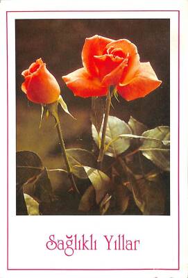 Yılbaşı (Yeniyıl) Temalı Kartpostal KRT14106 - 1