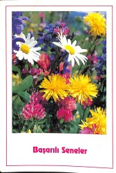 Yılbaşı (Yeniyıl) Temalı Kartpostal KRT14139 - Gökçekoleksiyon