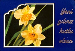 Yılbaşı (Yeniyıl) Temalı Kartpostal KRT15633 - Gökçekoleksiyon