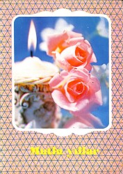 Yılbaşı (Yeniyıl) Temalı Tebrik -Kutlama Kartı Kartpostal KRT12058 - Gökçekoleksiyon