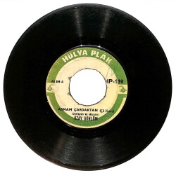 Özay Gönlüm - Asmam Çardaktan / Haydi Ülen Plak (10/6) PLK25160 - Gökçekoleksiyon