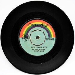 Yıldız Şahin - İçip İçip Ayılsak (109) PLK8519 - 2