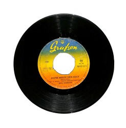 Ziya Taşkent - Bezmi Meyde Dün Gece / Niye Gittin Uzaklara PLAK (10/7.5) PKL25751 - Gökçekoleksiyon