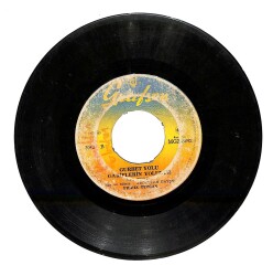 Yıldız Tezcan - Gurbet Yolu Gariplerin Yoludur / Çeke Çeke Bu Dert Beni Öldürür Plak (10/6.5) PLK21403 - 2