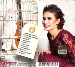 Yıldız Tilbe - Şivesi Sensin Aşkın CD (İkinci El) CD3960 - 3