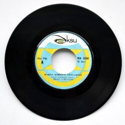 Yıldız Yurtsever - Zarfa Koydum Gözyaşımı PLAK PLK3541 - 1