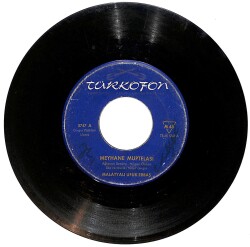 Malatyalı Ufuk Erbaş - Meyhane Müptelası / Diba Modası PLAK (10/5.5) PLK24750 - Gökçekoleksiyon