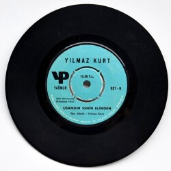 Yılmaz Kurt - Çift Gezer İki Bacı PLAK (10/7.5) PLK3531 - 2