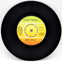 Yılmaz Tatlıses - Yıkılan Hayaller PLAK (10/8.5) PLK2146 - 2