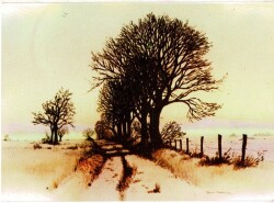 Yol Manzarası Kartpostal KRT11562 - Gökçekoleksiyon