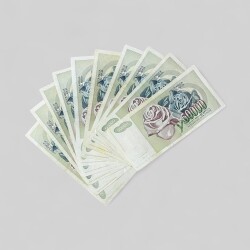 Yugoslavya 50000 Dinara 10 Adet ÇT YKP8045 - 3