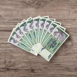 Yugoslavya 50000 Dinara 10 Adet ÇT YKP8045 - 2