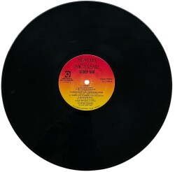 Mustafa Sağyaşar - Sizden Biri LP Plak (10/8) PLK25541 - Gökçekoleksiyon