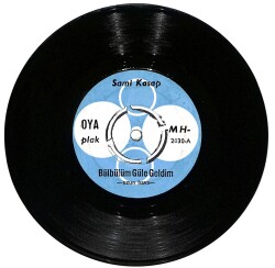 Sami Kasap – Bülbülüm Güle Geldim & Kalbimin Kapısı Kapandı 45′lik Plak (10/7) PLK27456 - Gökçekoleksiyon