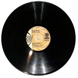Yusuf Kaya - Sevme Arkadaş LP PLAK (Açıklamayı Okuyunuz) PLK26696 - 1
