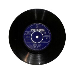 Lally Stott - Chirpy Chirpy Cheep Cheep / Henry James PLAK (10/6.5) PLK25774 - Gökçekoleksiyon