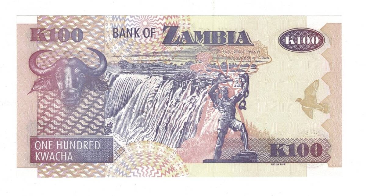 Zambiya 100 Kwacha 2008 ÇİL YKP8468 - 2