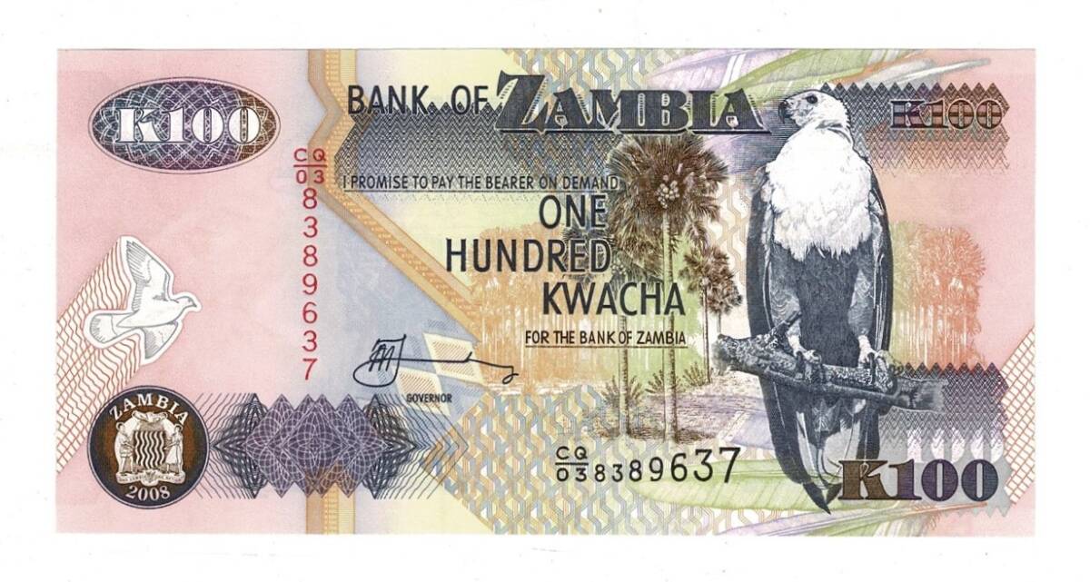 Zambiya 100 Kwacha 2008 ÇİL YKP8468 - 3