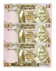 Zambiya 2 Kwacha (1980-88) Seri Takipli ÇİL YKP8421 - 1