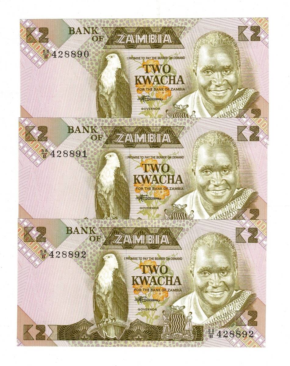 Zambiya 2 Kwacha (1980-88) Seri Takipli ÇİL YKP8421 - 1