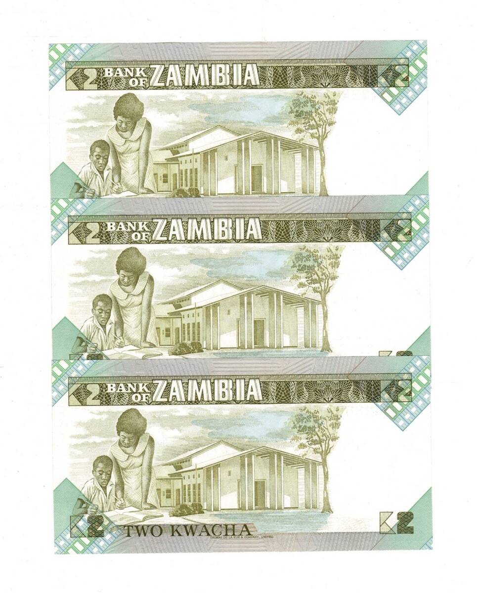Zambiya 2 Kwacha (1980-88) Seri Takipli ÇİL YKP8421 - 2