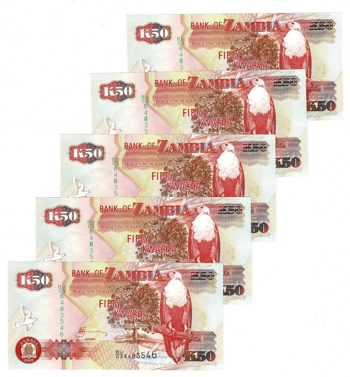 Zambiya 2009 Yılı 50 Kwacha (5 Adet) ÇİL YKP8816 - 1