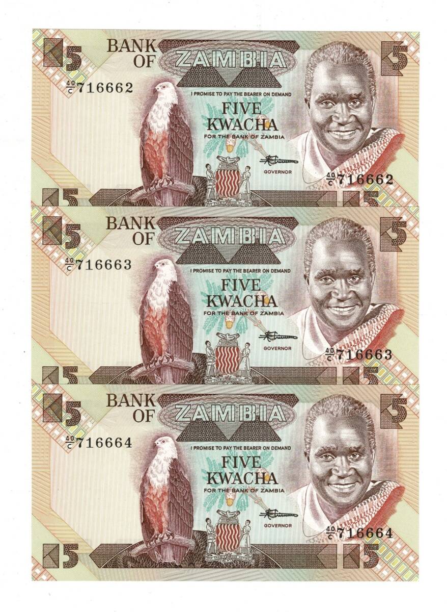 Zambiya 5 Kwacha (1980-88) 2008 Seri Takipli (3 Adet) ÇİL YKP8469 - 1