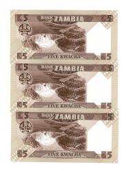 Zambiya 5 Kwacha (1980-88) 2008 Seri Takipli (3 Adet) ÇİL YKP8469 - 2