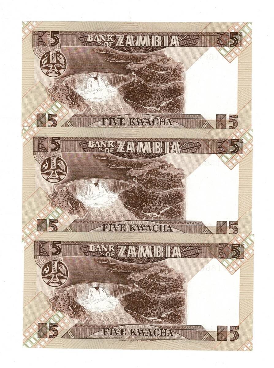 Zambiya 5 Kwacha (1980-88) 2008 Seri Takipli (3 Adet) ÇİL YKP8469 - 2
