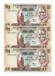Zambiya 5 Kwacha (1980-88) 2008 Seri Takipli (3 Adet) ÇİL YKP8469 - 3