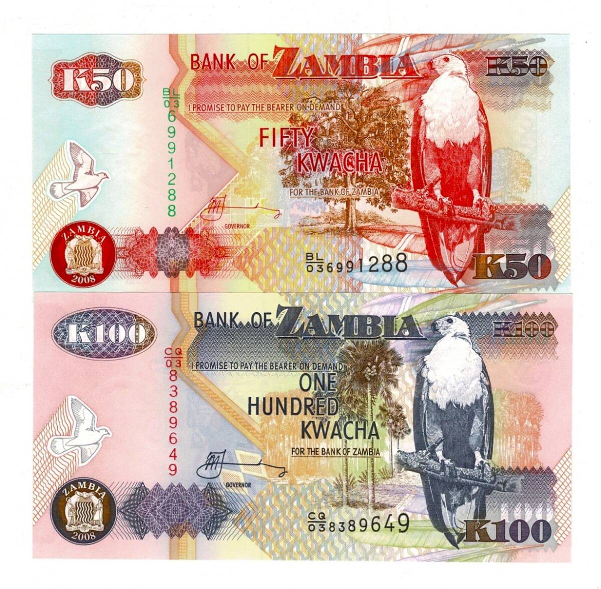 Zambiya 50/100 Kwacha 2008 Set ÇİL YKP8337 - 3