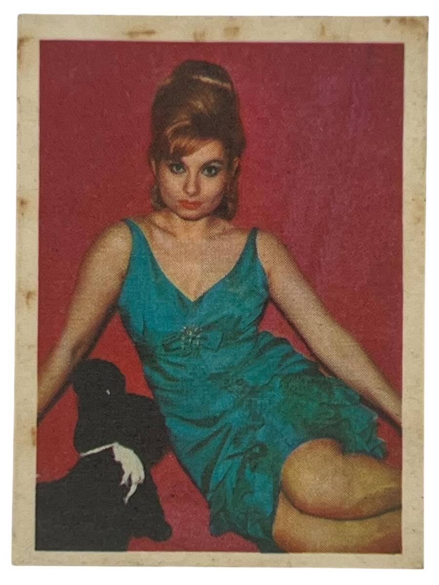 ZAMBO Sakızı Artistler Serisi No 49 Belgin Doruk # SKZ1435 - 1