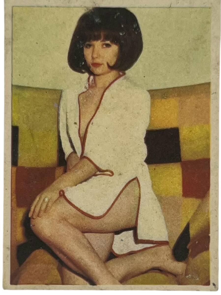 ZAMBO Sakızı İkramiyeli Artistler Serisi No 65 Sevda Nur # SKZ1418 - 1